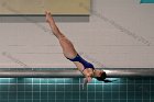 Women's Diving  Wheaton College Women’s Diving vs Mount Holyoke College. - Photo by Keith Nordstrom : Wheaton, Swimming & Diving